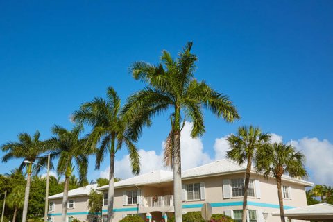 Во Флориде самая большая в США доля домов без обременения по ипотеке