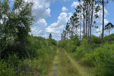 Terreno en venta en Mayo, Florida № 1243354 - foto 13