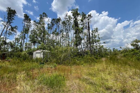 Terrain à vendre à Mayo, Floride № 1243354 - photo 8