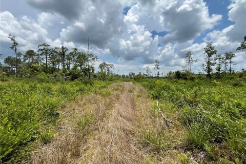 Land in Mayo, Florida № 1243354 - photo 12