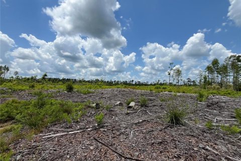 Terrain à vendre à Mayo, Floride № 1243354 - photo 7