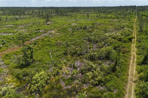 Terrain à vendre à Mayo, Floride № 1243354 - photo 18