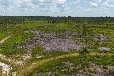 Terreno en venta en Mayo, Florida № 1243354 - foto 4