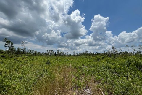 Terrain à vendre à Mayo, Floride № 1243354 - photo 20