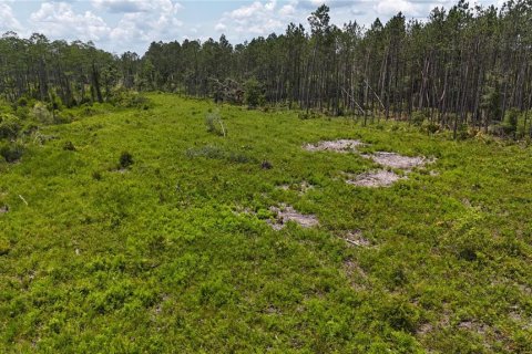 Terrain à vendre à Mayo, Floride № 1243354 - photo 3