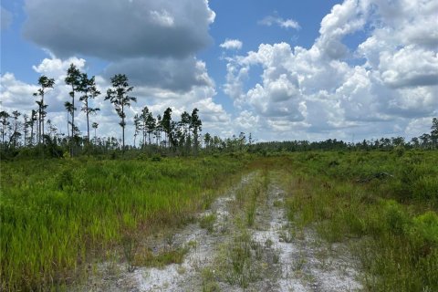 Land in Mayo, Florida № 1243354 - photo 14