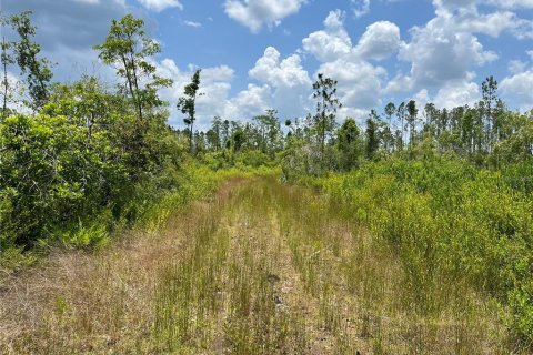 Terreno en venta en Mayo, Florida № 1243354 - foto 10