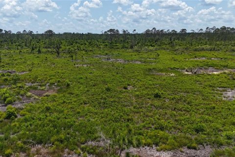 Terrain à vendre à Mayo, Floride № 1243354 - photo 6