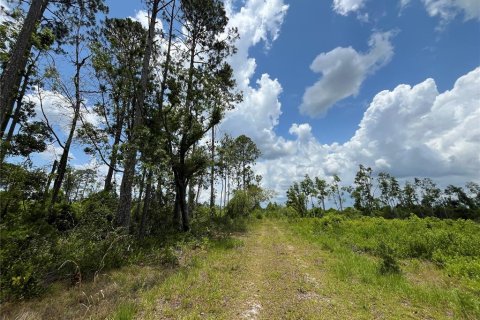 Land in Mayo, Florida № 1243354 - photo 19