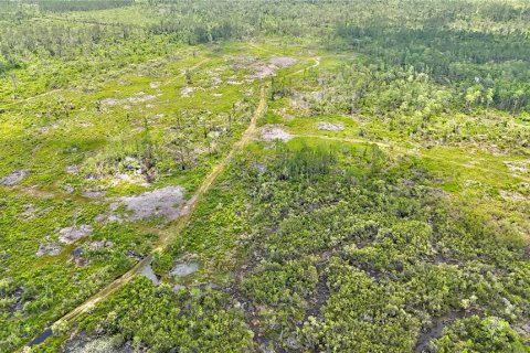 Terreno en venta en Mayo, Florida № 1243354 - foto 2