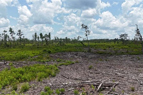 Terreno en venta en Mayo, Florida № 1243354 - foto 5