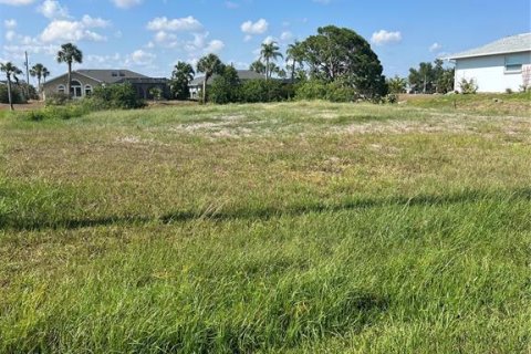 Terreno en venta en Rotonda, Florida № 1205410 - foto 4