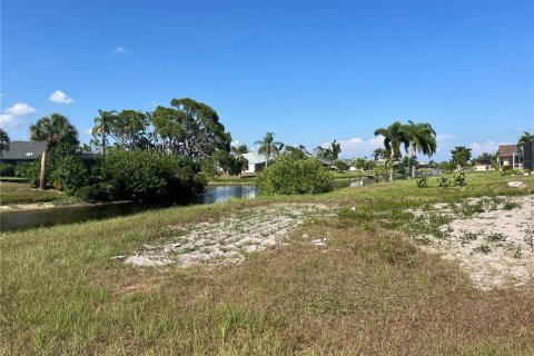 Terreno en venta en Rotonda, Florida № 1205410 - foto 7