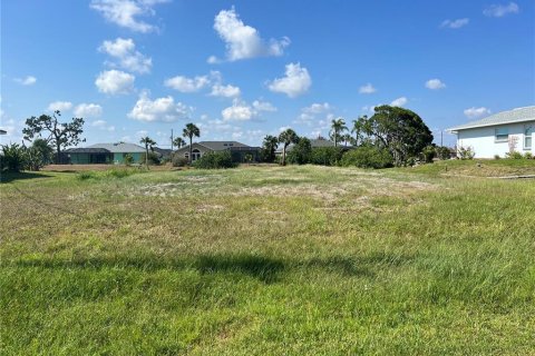 Terreno en venta en Rotonda, Florida № 1205410 - foto 2