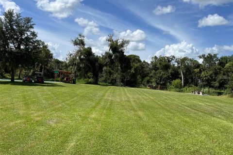 Land in Punta Gorda, Florida № 1354370 - photo 7