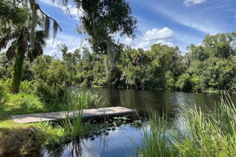 Land in Punta Gorda, Florida № 1354370 - photo 12