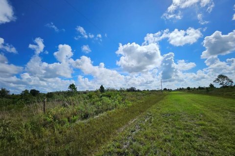 Terreno en venta en Okeechobee, Florida № 1354369 - foto 3