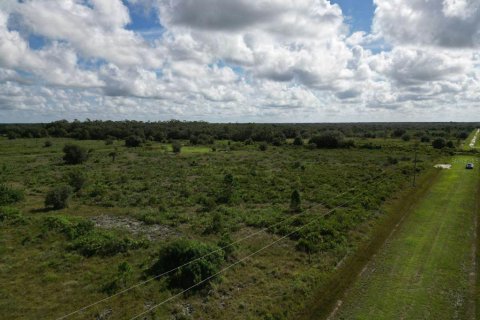 Terreno en venta en Okeechobee, Florida № 1354369 - foto 5