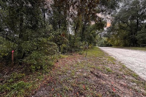 Terreno en venta en Dunnellon, Florida № 1335846 - foto 7