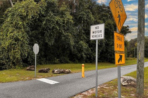 Land in Dunnellon, Florida № 1335846 - photo 2