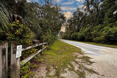 Land in Dunnellon, Florida № 1335846 - photo 9