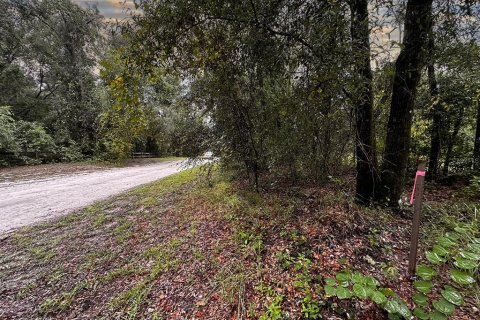 Terrain à vendre à Dunnellon, Floride № 1335846 - photo 8