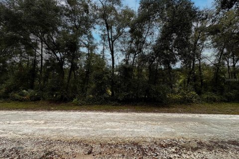 Terreno en venta en Dunnellon, Florida № 1335846 - foto 1