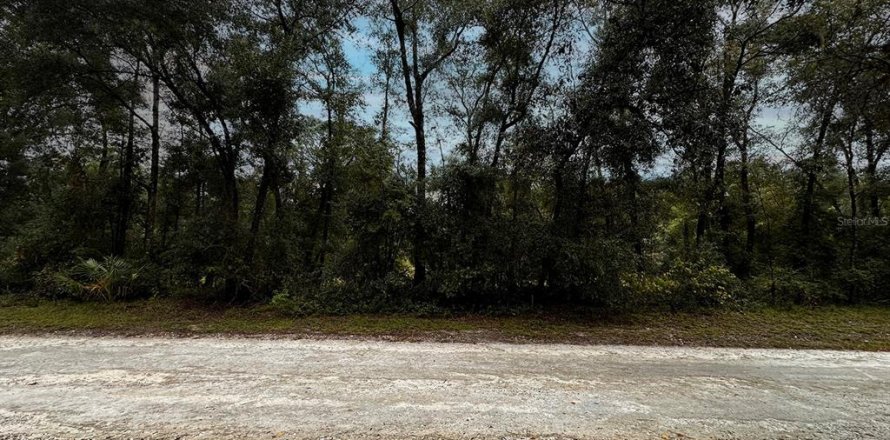 Terreno en Dunnellon, Florida № 1335846