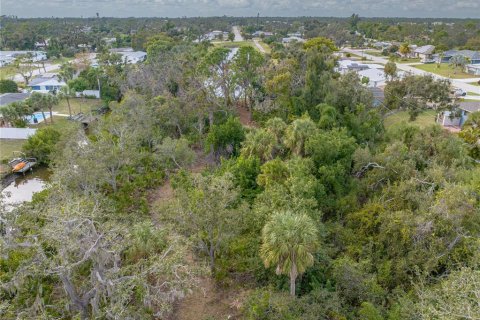 Terreno en venta en Englewood, Florida № 941969 - foto 25