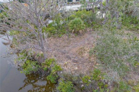 Land in Englewood, Florida № 941969 - photo 23