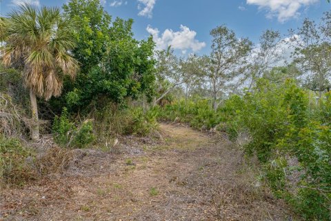 Terrain à vendre à Englewood, Floride № 941969 - photo 30