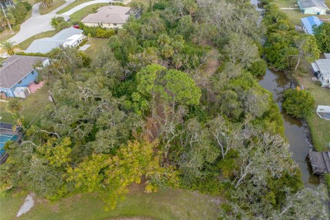 Terreno en venta en Englewood, Florida № 941969 - foto 19