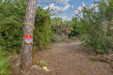 Terreno en venta en Englewood, Florida № 941969 - foto 29