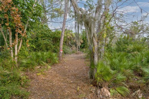 Terreno en venta en Englewood, Florida № 941969 - foto 28