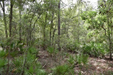 Terreno en venta en Old Town, Florida № 1359502 - foto 3