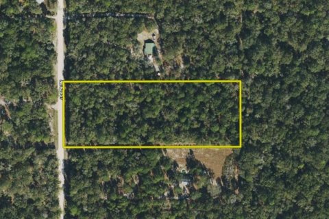 Terreno en venta en Old Town, Florida № 1359502 - foto 4