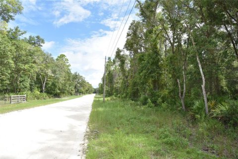 Terreno en venta en Old Town, Florida № 1359502 - foto 6