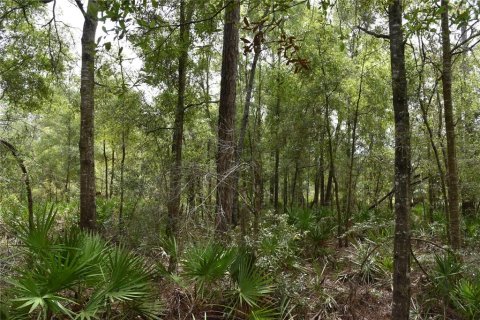 Terreno en venta en Old Town, Florida № 1359502 - foto 13