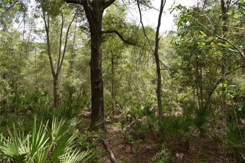 Land in Old Town, Florida № 1359502 - photo 22