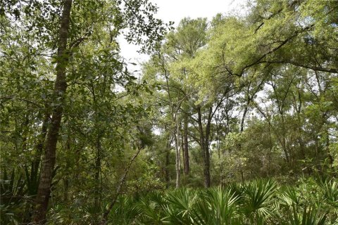 Terreno en venta en Old Town, Florida № 1359502 - foto 16