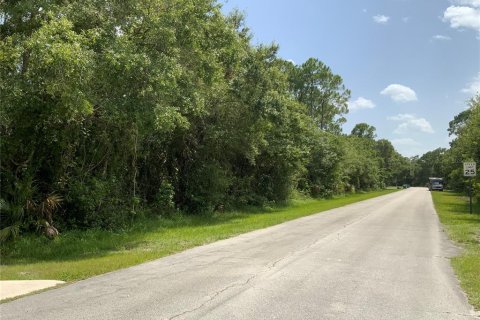 Купить земельный участок в Сент-Луси, Флорида № 644825 - фото 1
