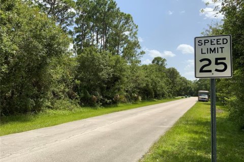 Купить земельный участок в Сент-Луси, Флорида № 644825 - фото 3