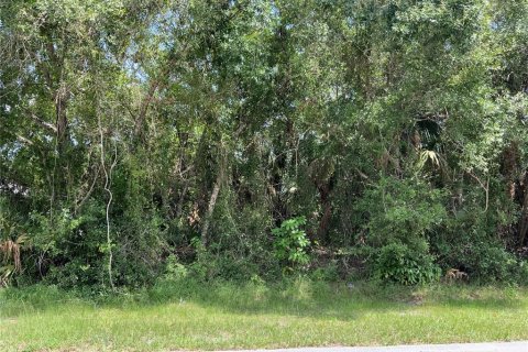 Купить земельный участок в Сент-Луси, Флорида № 644825 - фото 6