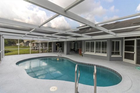 Villa ou maison à vendre à New Port Richey, Floride: 4 chambres, 335.47 m2 № 1344291 - photo 3