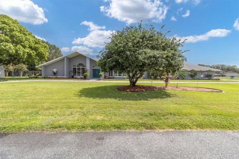 House in New Port Richey, Florida 4 bedrooms, 335.47 sq.m. № 1344291 - photo 2