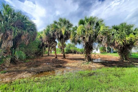 Terreno en venta en Port Charlotte, Florida № 251611 - foto 16