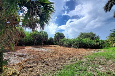 Terreno en venta en Port Charlotte, Florida № 251611 - foto 19