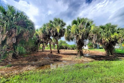 Land in Port Charlotte, Florida № 251611 - photo 21