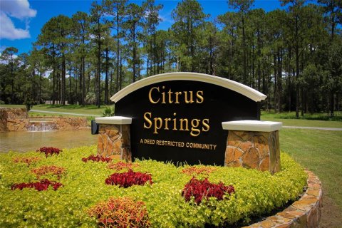 Terreno en venta en Citrus Springs, Florida № 1340680 - foto 3