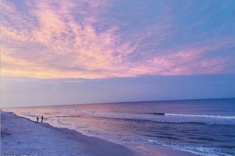 Land in Saint Augustine, Florida № 850915 - photo 18